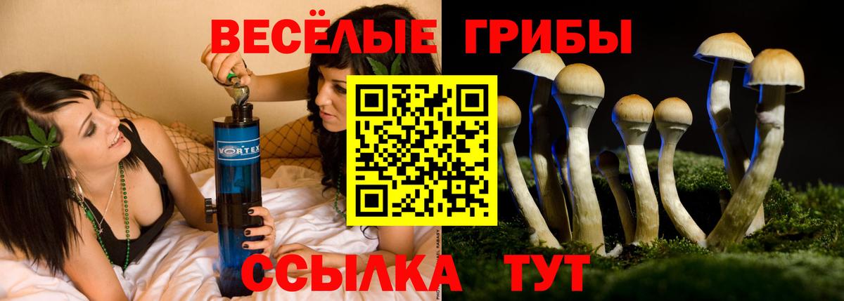 Псилоцибиновые грибы мицелий Ижевск